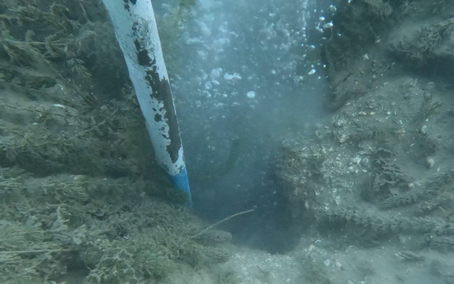 Sapanca Gölü'nde neler oluyor? Fokur fokur kaynıyor depremin habercisi mi?