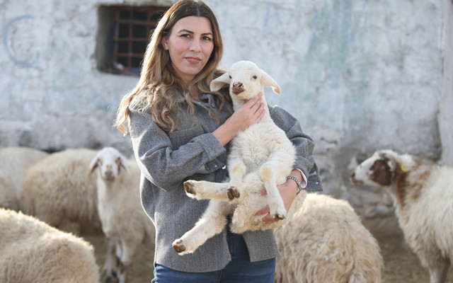 İstanbul'dan sıkıldı köyüne dönüp hayvancılığa başladı! 3 yılda sürüsünü 4'e katladı şimdiki hedefi...