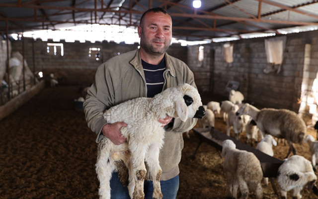 Depremzede besici, devlet desteğiyle sürüsünü büyüttü
