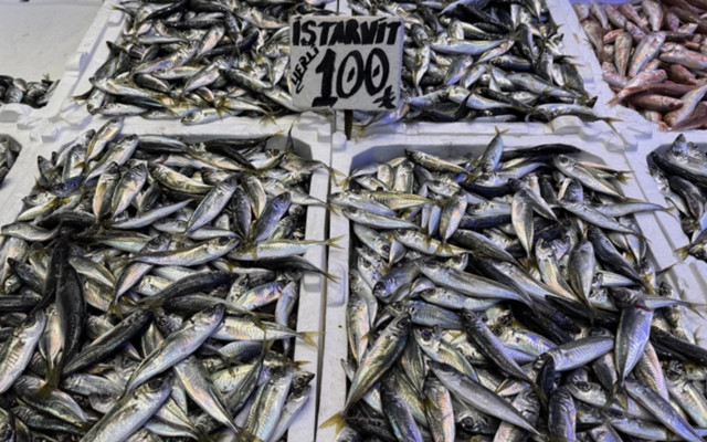 İstanbul'da bu ay en çok tüketilen balık şaşırttı! Hamsiyi bile solladı...