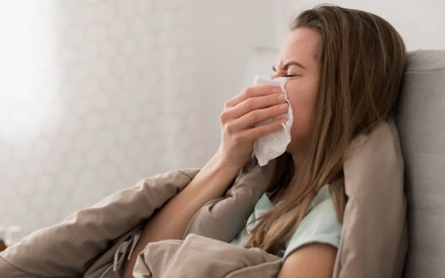 Domuz gribi vakalarına dikkat! Vaka sayısı giderek artıyor...