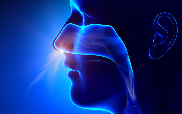 Şifalı nefesi Prof. Güner Sönmez açıkladı! 4-7-8 tekniğini kullanın faydalarına inanamayacaksınız - Resim: 0