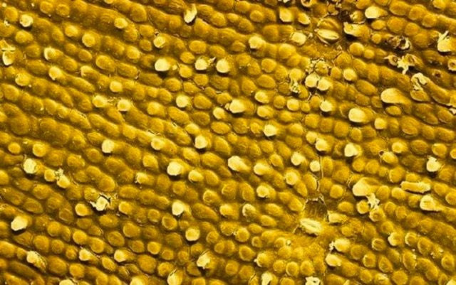 İştah açıcı durmasa da... Bunu her gün yiyorsunuz! - Resim: 1