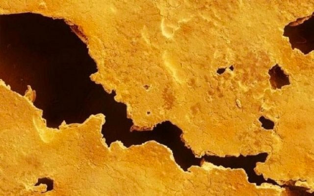 İştah açıcı durmasa da... Bunu her gün yiyorsunuz! - Resim: 4