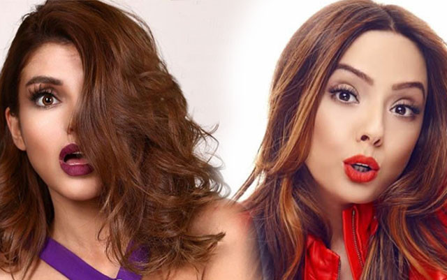 Ebru Gündeş'le ilgili son dakika gelişmesi: Türkiye'de bunu yapamaz - Resim: 2