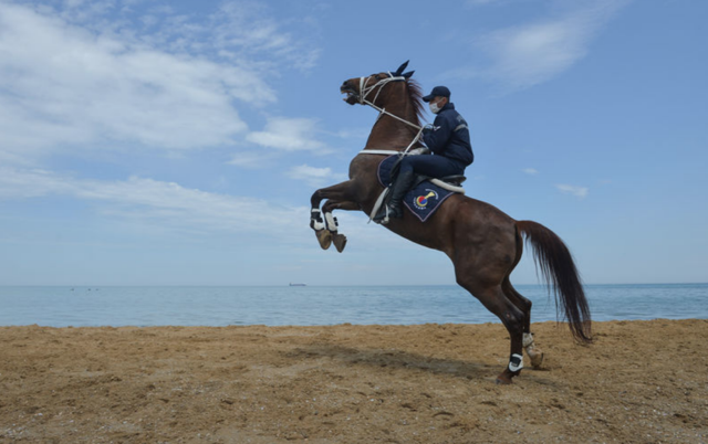 İstanbul sahillerinde atlı birliklerle denetim - Resim: 1