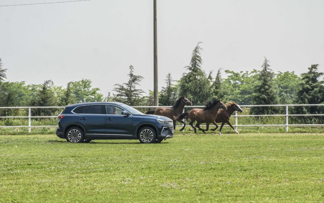 TOGG şampiyon atlarla yarıştı, antrenman yaptırdı! Görüntüler nefes kesti - Resim: 4