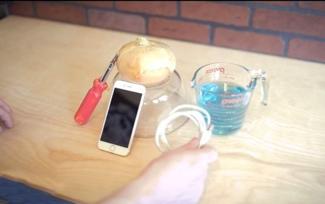 Cep telefonunu soğanla şarj etmeye çalıştı ve... - Resim: 1