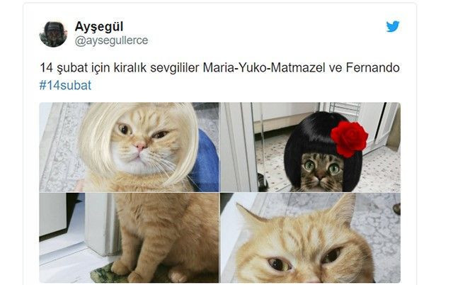 Birbirinden eğlenceli 14 Şubat paylaşımları - Resim: 3