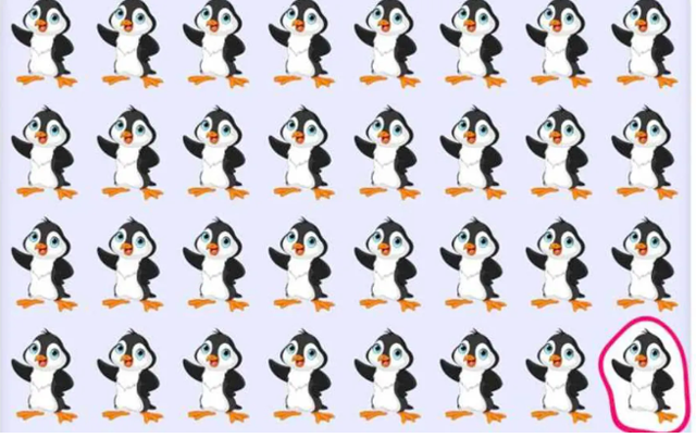 Sadece 10 saniyeniz var! Yaşlı adamın karısını bulursanız dahisiniz detaya dikkat - Resim: 2