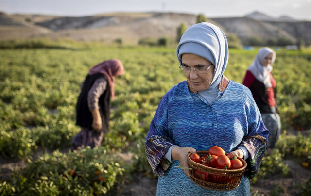 Her hafta sonu evde pişiyormuş, Emine Erdoğan, çiftçi kadınlarla birlikte toplayıp yaptı - Resim: 0
