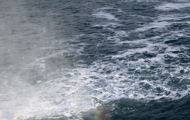 Antalya'da zehirli köpükler denize yayılıyor - Resim: 0