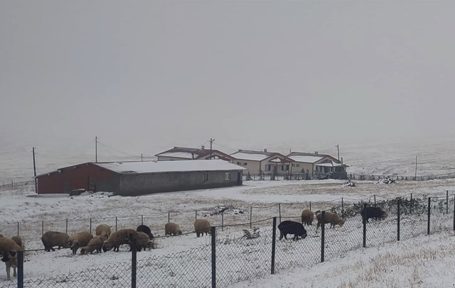 Doğu Karadeniz karlar içinde kaldı! O şehirler bembeyaz oldu - Resim: 1