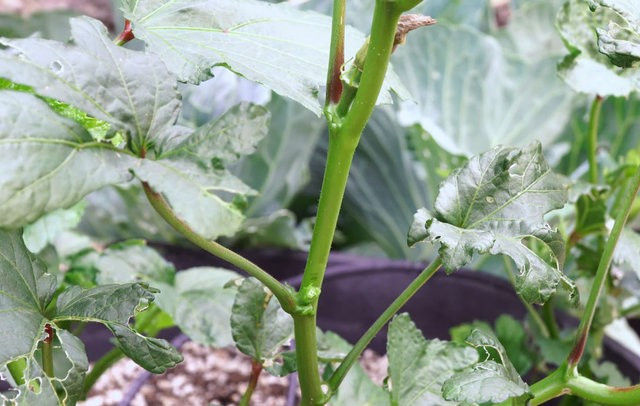 Bu pratik bilgiler hayatınızı çok kolaylaştıracak... - Resim: 1