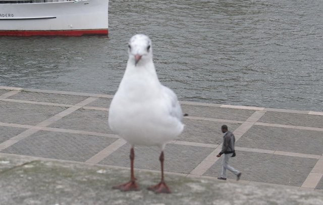 Bu fotoğrafı gören herkes şoke oldu gerçek aslında çok başka - Resim: 4