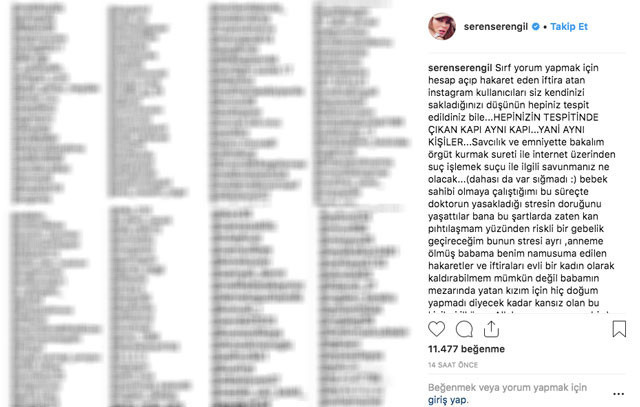 Seren Serengil o kişileri ifşa edip örgüt kurma suçundan savcılığa verdi - Resim: 4