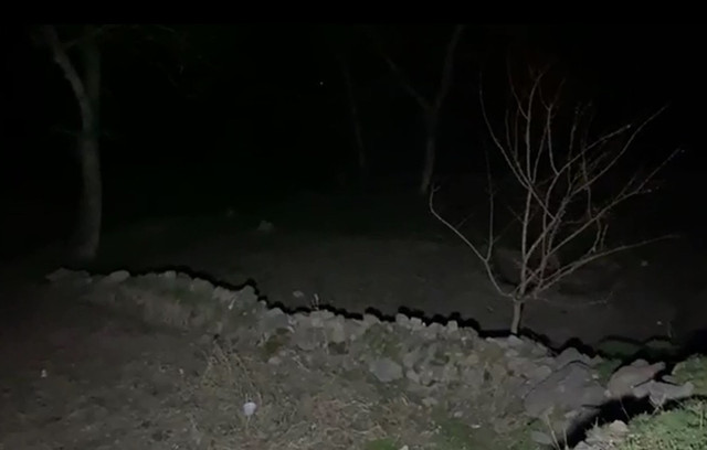 Kayseri'deki korkunç cinayetin perde arkası ortaya çıktı - Resim: 0