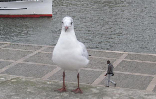'Şaşı bak şaşır'dan beter fotoğraflar - Resim: 3