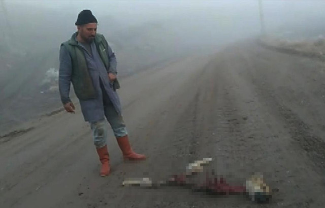 Sivas'ta dehşete düşüren olay! Köpekten geriye başı, iskeleti ve ayakları kaldı - Resim: 0