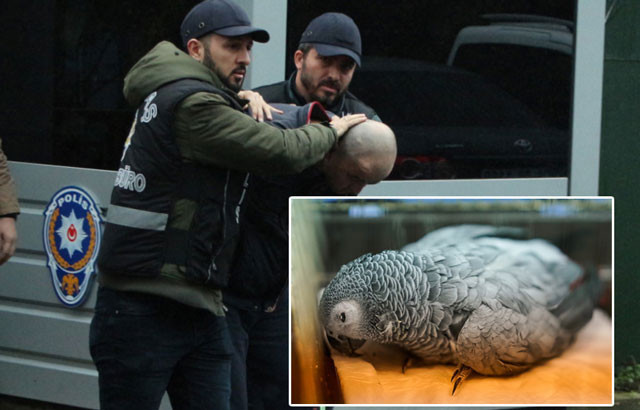 Ömür Gedik papağan Bahtiyar'ın acı haberini böyle verdi!  - Resim: 4