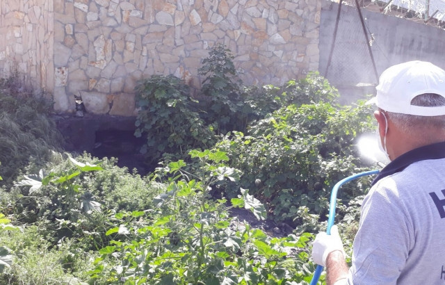 Zehir pompasını ağzıyla açmaya çalışınca... - Resim: 4