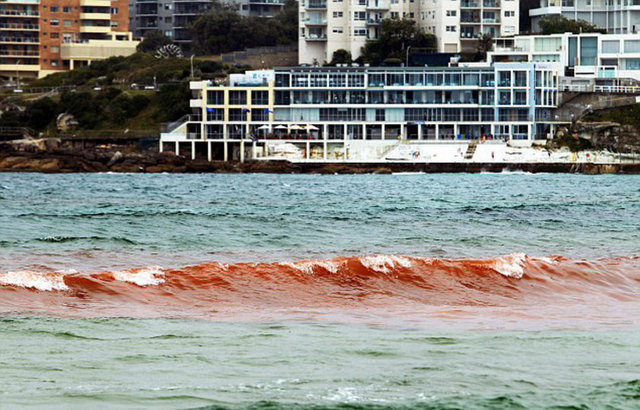 Bu deniz görenleri şoke etti! - Resim: 4