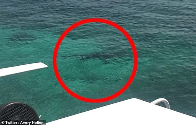 Bahamalar'da genç kız anne ve babasının gözlerinin önünde feci şekilde öldü - Resim: 4