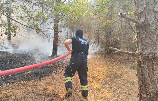 Tekirdağ'da orman yangını çıktı - Resim: 2