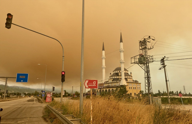 Kocaeli'de orman yangını çıktı! Dumanlar Bursa'ya ulaştı , gökyüzü puslandı - Resim: 1