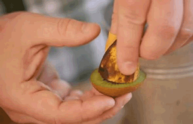  Kivi ve muzu aynı anda saksıya gömdü... Çıkan herkesi şoke etti! - Resim: 3