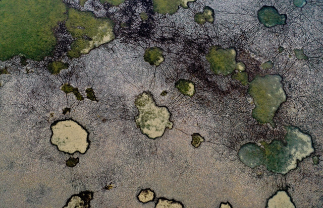 Beyşehir Gölü 'ölü' seviyesinin altına indi! Konya'da barajlar da kuruyor - Resim: 3