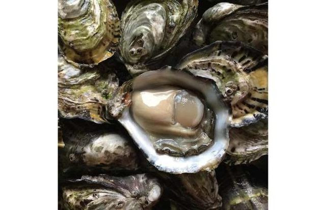 Bu tavuğun fiyatı 13 bin TL! Özelliği ise bakın ne - Resim: 3