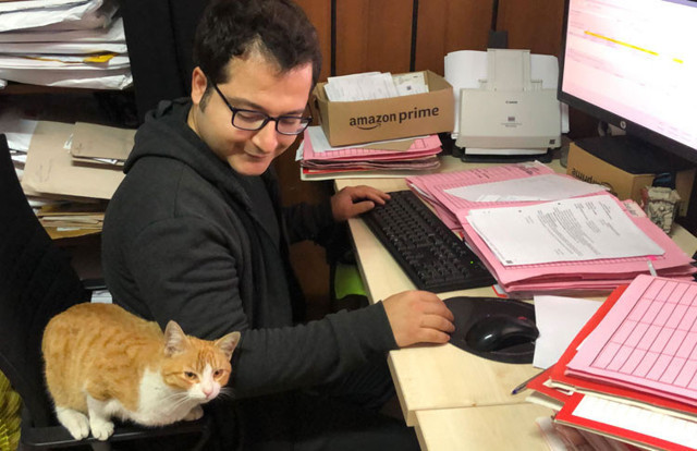 Adliye binası sokak kedisi Ziya'nın yuvası oldu - Resim: 0