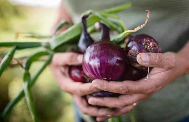 Yatağınızın altına soğan koyun bakın nelere iyi geliyor - Resim: 4