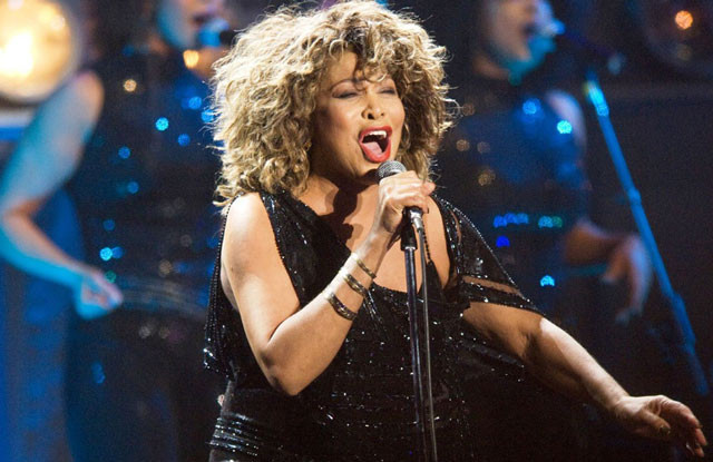 Haluk Levent'ten Tina Turner itirafı! Kulisine girdim ve zorla... - Resim: 4