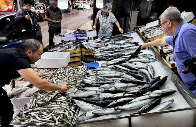 Balık tezgahlarında palamut, hamsi ve çinekop bolluğu yaşanıyor - Resim: 0