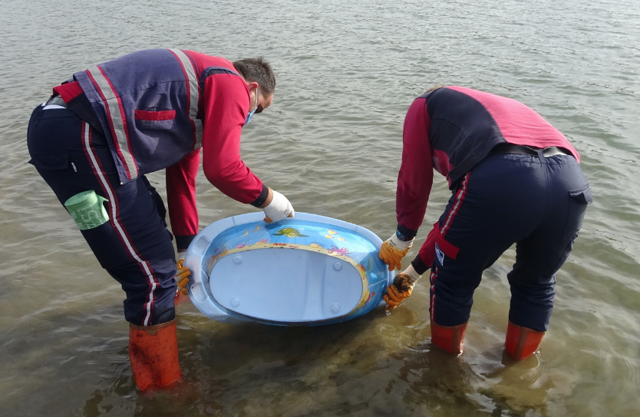 Ömerli Barajı'nda mahsur kalan yavru balıkları kurtarma operasyonu - Resim: 0