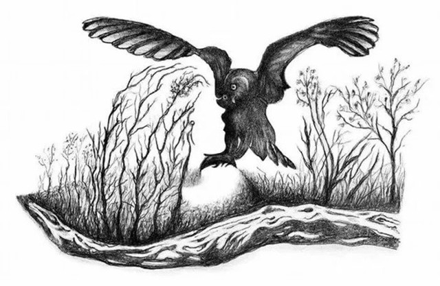 Gizlenen kadın yüzünü bir dakikada bulursanız IQ'nuz tavan demektir! - Resim: 0