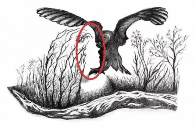 Gizlenen kadın yüzünü bir dakikada bulursanız IQ'nuz tavan demektir! - Resim: 1