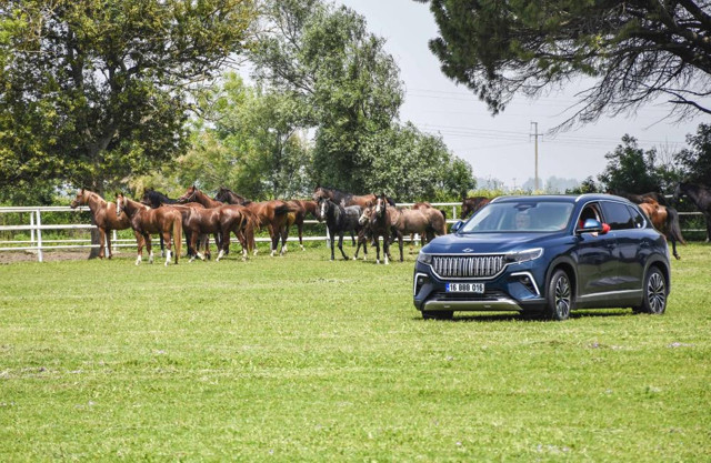 TOGG şampiyon atlarla yarıştı, antrenman yaptırdı! Görüntüler nefes kesti - Resim: 2