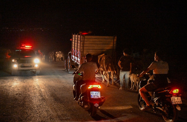 Orman yangınları sürüyor! Üç mahalle boşaltıldı... Çanakkale, İzmir, Antalya ve İstanbul... - Resim: 2