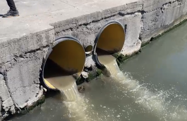 Marmara'da müsilaj denetimleri sürüyor! Bakanlıktan BASKİ'ye 6.6 milyon TL ceza - Resim: 1