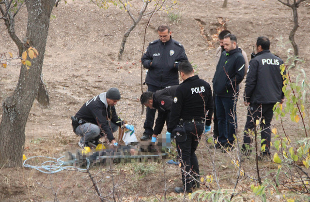 Korkunç manzara! Köpek gezdiren vatandaşlar fark etti: Ağaca asılı halde bulundu - Resim: 0