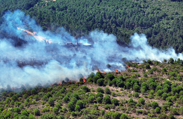 Aydos Ormanı'nda yangın çıktı! - Resim: 0