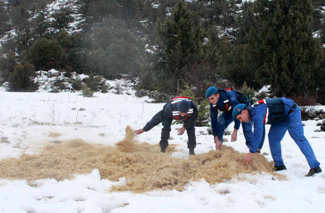 Köylüleri dehşete düşüren manzara! Yayla yolunda buldular - Resim: 3