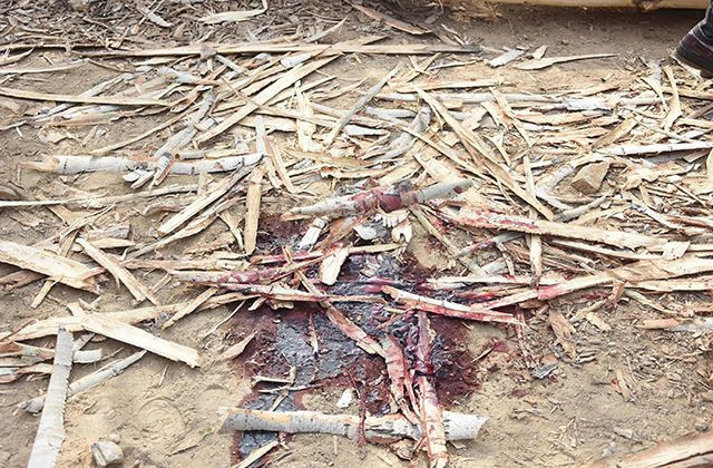 Aynı aileden 4 kişi öldürülmüştü! İzmir'deki katliamdan sadece o kurtuldu - Resim: 4