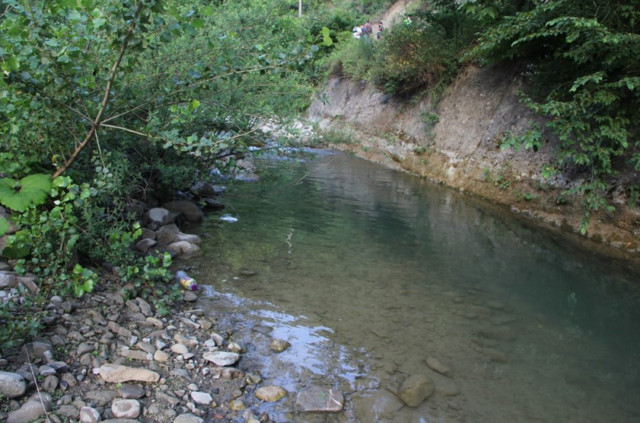 Eskişehir'den tedaviden dönen ailenin otomobili Kastamonu'da çaya uçtu: 3 ölü - Resim: 2