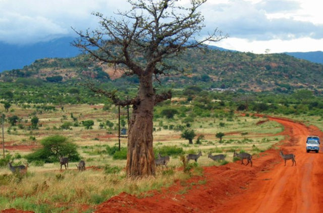  CIA'nın  2015  kehanetleri tuttu mu? - Resim: 3