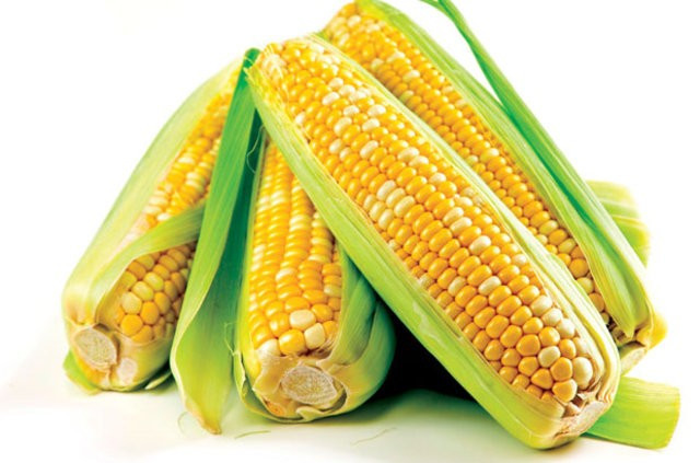 Pastayı dondurucuya koyarsanız.. - Resim: 1