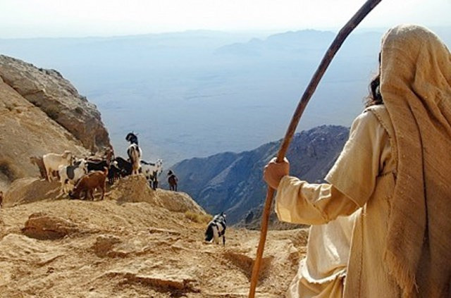 Hz. Muhammed filmindeki asıl tehlike ne? - Resim: 4